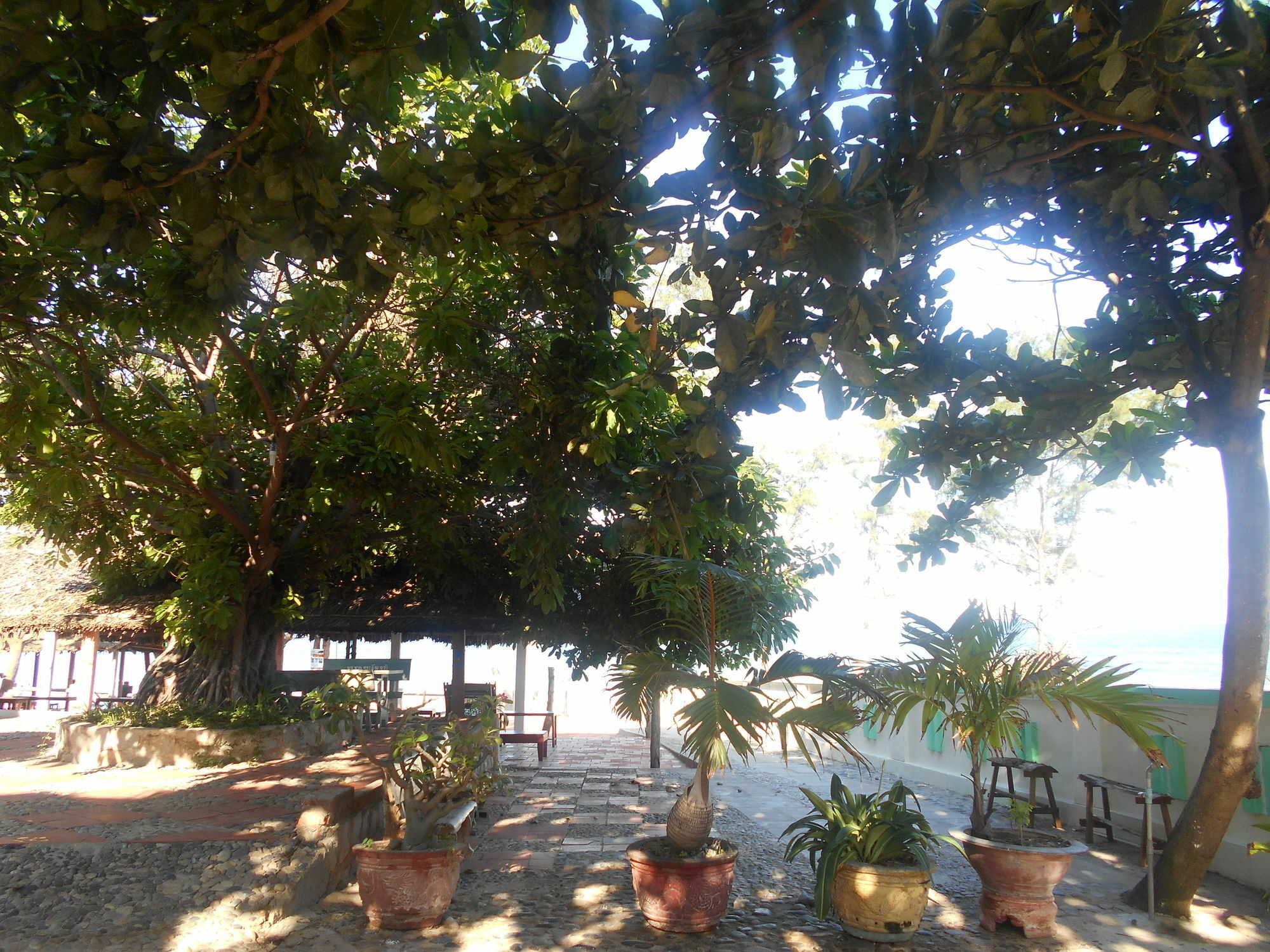 Suoi Nuoc Resort Mui Ne Exterior foto
